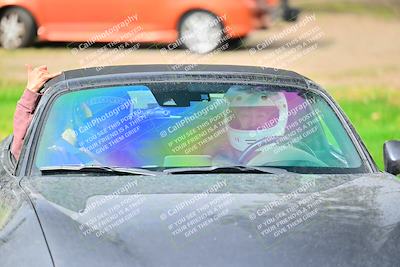 media/Mar-02-2025-Speed Ventures (Sun) [[ad7ca67825]]/Purple Group/Grid/